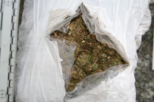 Slika /slike-vijesti/2010 godina/marihuana_paketW.jpg